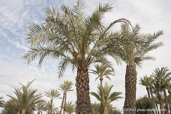 Marrakech